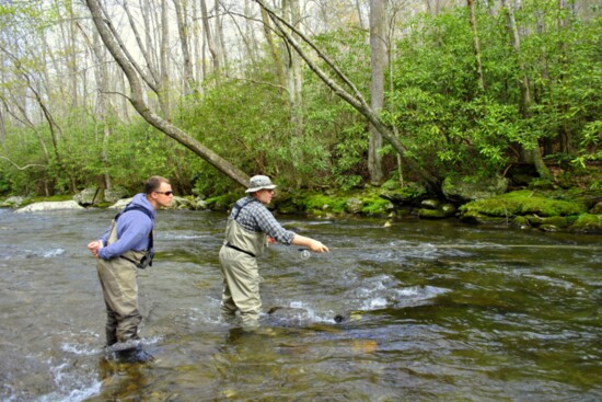 Fly fishing in one of the area's four rushing rivers 
