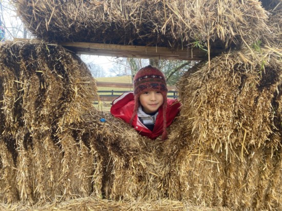 Hay, there, Noah!