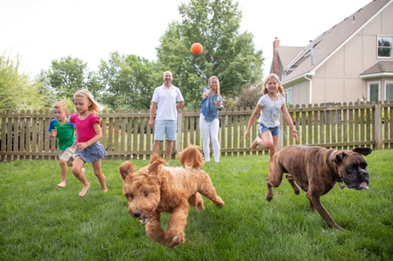 Dog Training in Kansas City