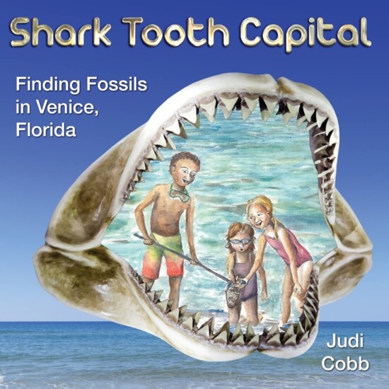 Shark Tooth Capital: Finding Fossils in Venice