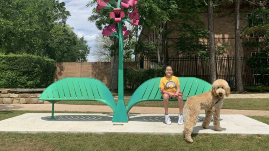 Goldendoodle Waylon with owner at Penstemon Art Bench, photo: @dood_itswaylon