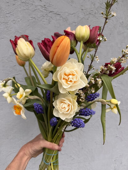 Photo by Lauren Lenz