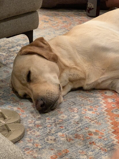 Always good for a nap after a morning walk