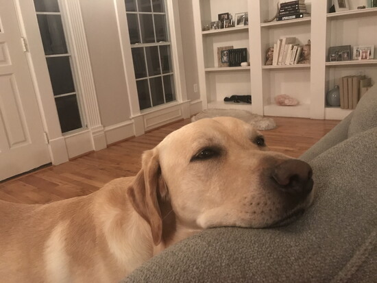 I can sleep anywhere!