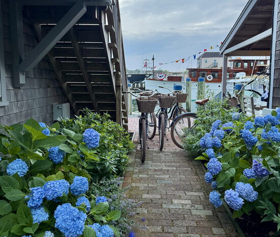 Cottages at Nantucket Boat Basin
