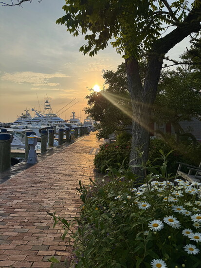 Cottages at Nantucket Boat Basin