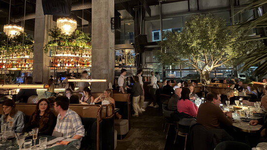 V Modern Italian Restaurant Vibes