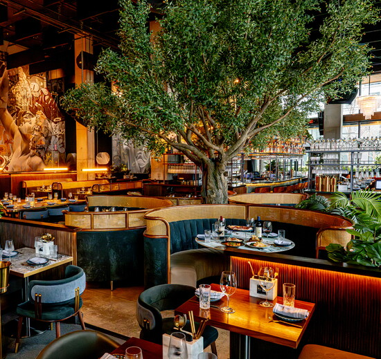 V Modern Italian, photo provided by V Modern Italian