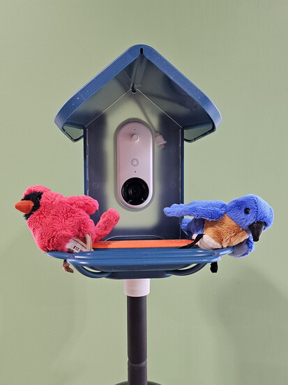 High-tech Bird Feeder