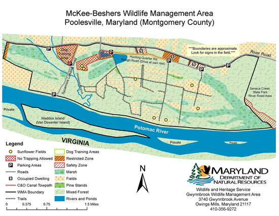 Courtesy of Maryland Department of Natural Resources