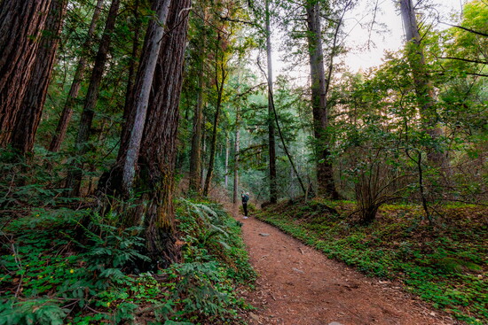 Photo by Daniel Gorostieta