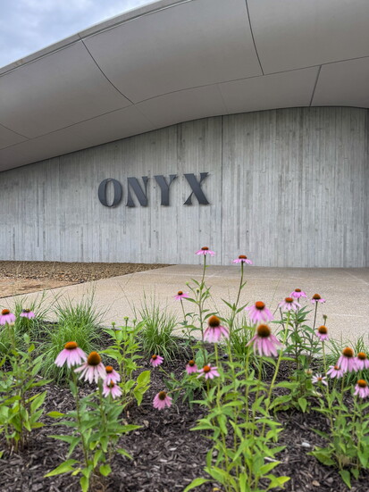 Onyx at the Preserve