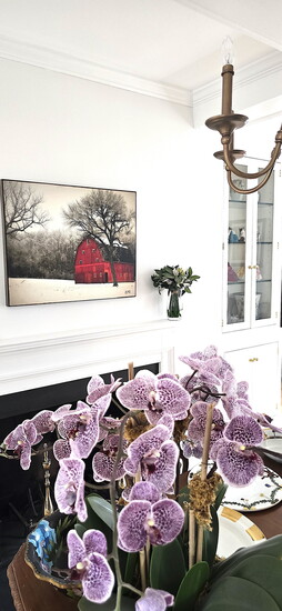 The living of a home remodeled by New England Renovations LLC