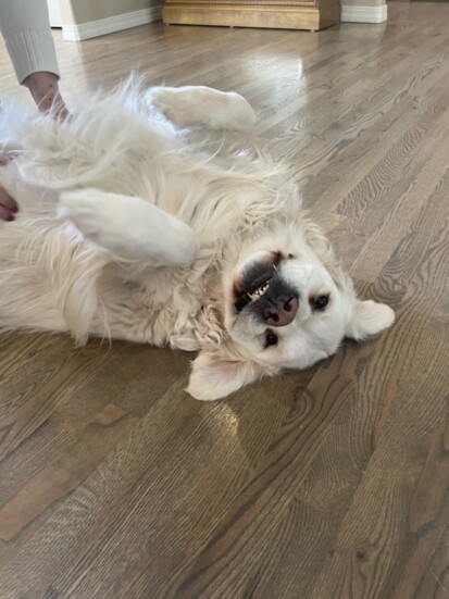 Winston
