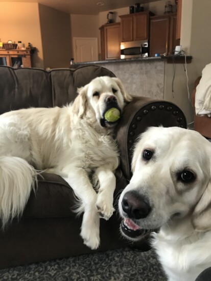 Winston and Fiona
