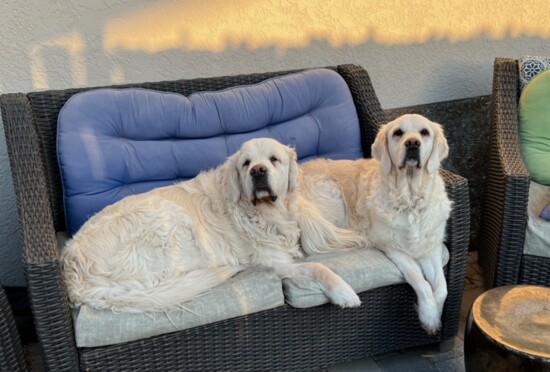 Winston and Fiona