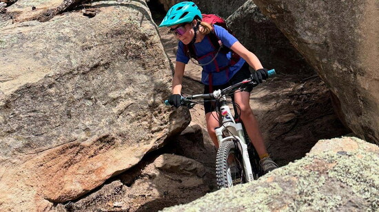 Field Institute of Taos