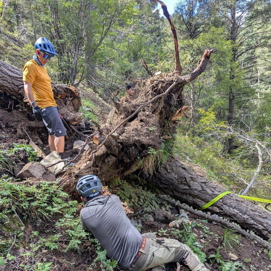 Enchanted Circle Trails restoration work