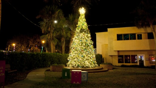 The community tree of New Smyrna Beach