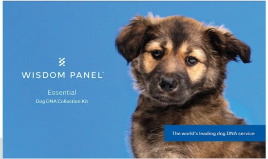Wisdom Panel Essential Breed Identification DNA Test for Dogs, chewy.com, $79.99