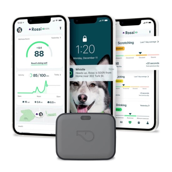 Whistle GPS + Health + Fitness Dog Tracker, amazon.com, $149.95