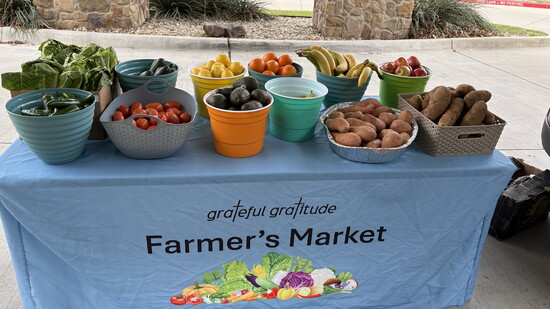 Featured image for Nonprofit of the Month