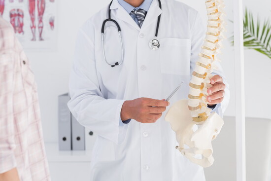 Our spinal column is comprised of individual vertebrae.