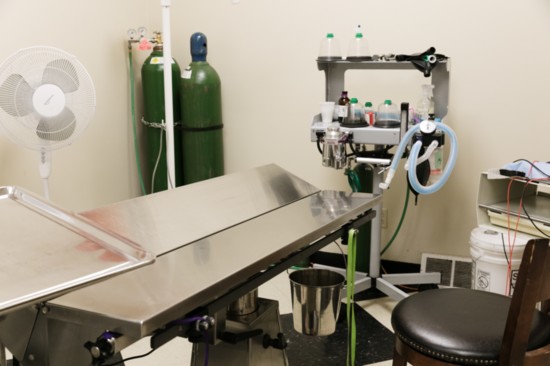 All of the surgery equipment at NAWS has been donated by generous hospitals. 