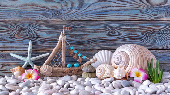 Jeep beach's Charlene Greer will repurpose her "Sea Treasures" throughout her home