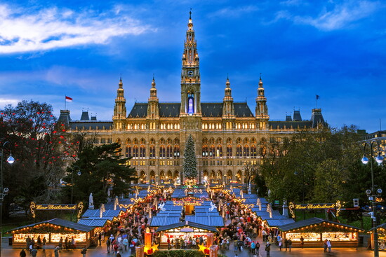 A Christmas Market in Vienna