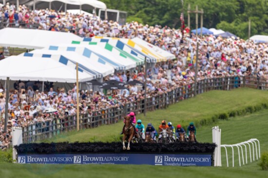 Photo Provided by Iroquois Steeplechase