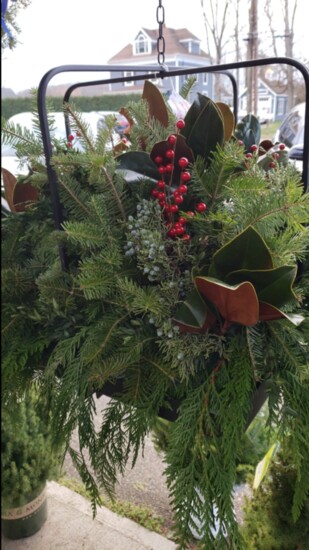 An evergreen holiday arrangment at Draghi Farms.