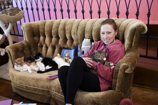 If you need to zen out, celebrate with friends or just love on a furry ball of love, schedule a time to play with the adoptable kitties at Don’t Stress Meowt.