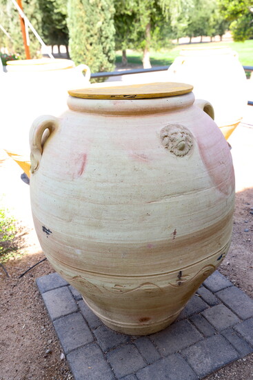 Amphora