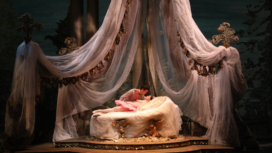 Photo courtesy of Houston Ballet