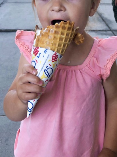 Bruster's Waffle Cone