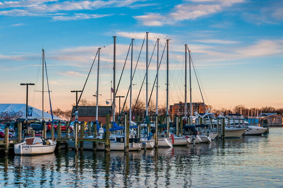 Annapolis Harbor