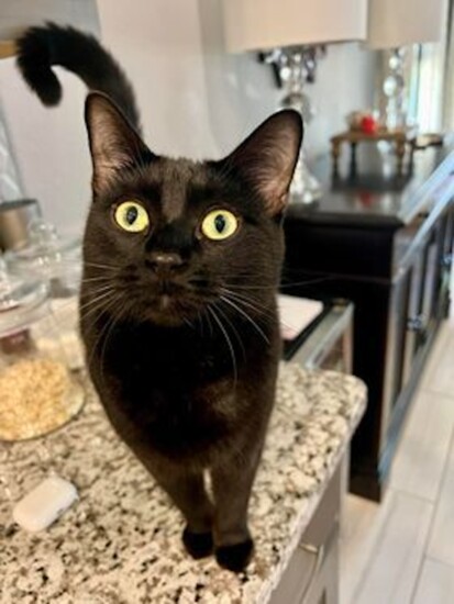 Kiki