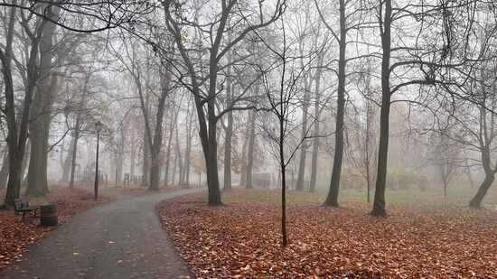 Take a walk in the park 