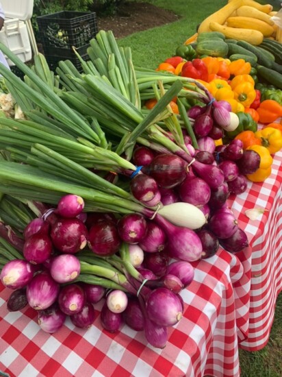 Beautiful bounty from the Fairfield Farmer's Market