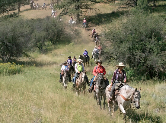 The Chief Joseph Trail Ride. PC: Appaloosa Horse Club
