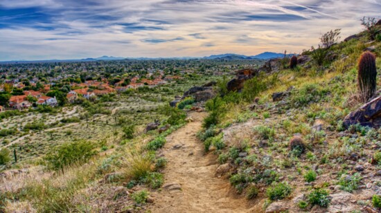 South Mountain offers a plethora of recreational opportunities for outdoor enthusiasts.