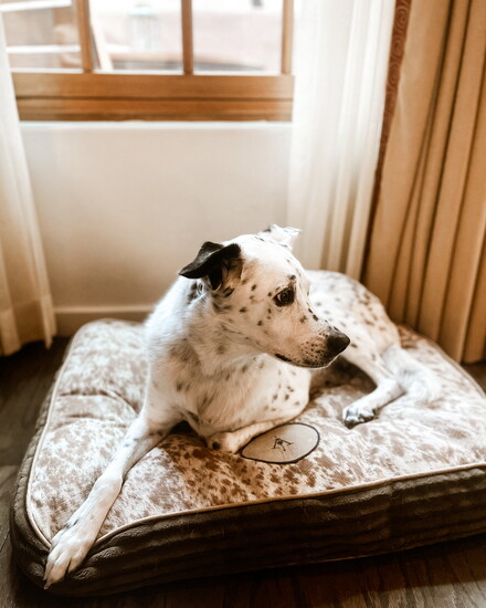 Rosewood Inn of the Anasazi