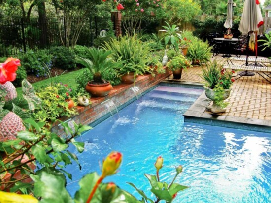 Designs not only plan out the prefect pool, but the best plantings to achieve your desired affect.