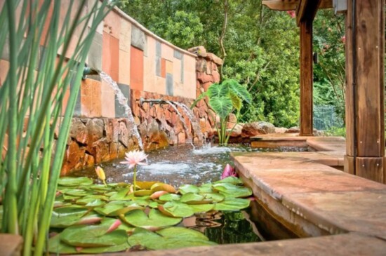  Water plantings are a great way to make water features stand out.