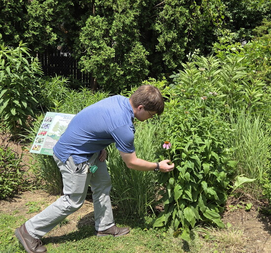 Dustin checking the plant health at Ray Roche Park