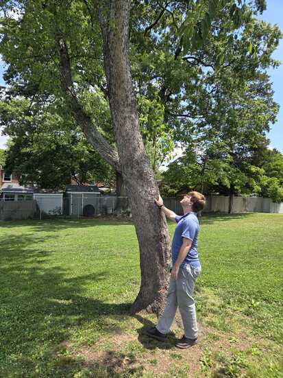Dustin Checking Tree Health in Ray RochePark 