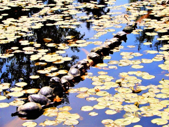 Juanita Bay Park