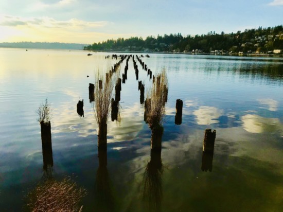 Juanita Bay Park