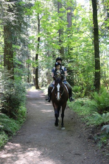 Bridle Trails State Park